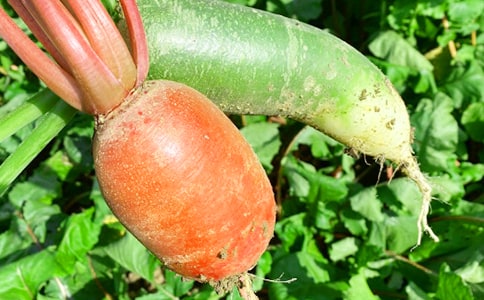 (ͨ��)�r�Ҙ�����