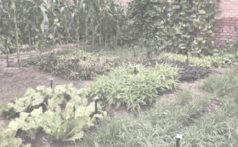 �h���h��h�������ذ��ؽ�����Ⱦ�^�r������Ⱦ�u�r