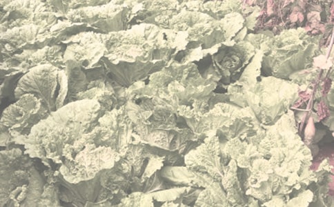 �������r(n��ng)����N�Ӳ�ُ(g��u)��ͬ