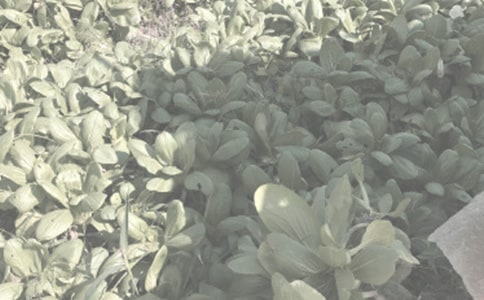 ü�h�r���ﲡ�x���l���Ě���l������