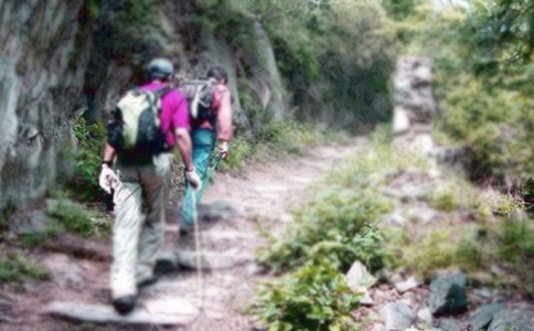 爬山的作文合集【15篇】