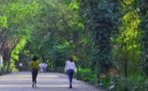 爬山的作文15篇(精)