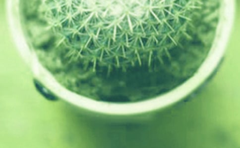 ������������B(y��ng)ֳ������B