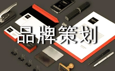 【精選】品牌策劃4篇