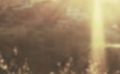 �ƕ��Ժ�_��������