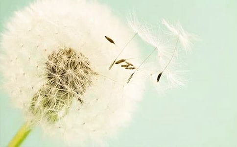 СС�ѹ�Ӣ����250��