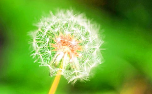 �P���ѹ�Ӣ��Ψ�����Ӻ���