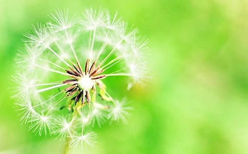 ���]���ҵ�ֲ���ѹ�Ӣ����11ƪ