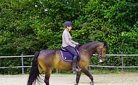 �T�R���ă���