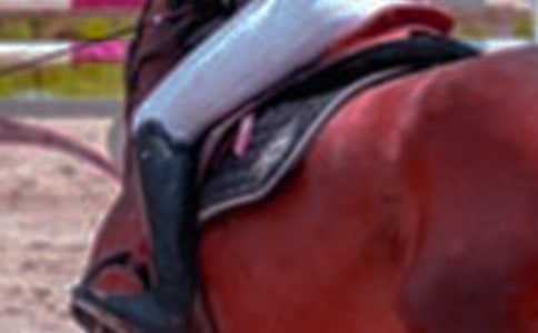 ���꼉�T�R��ӛ100�֣�5ƪ��