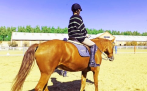 �����T�R����