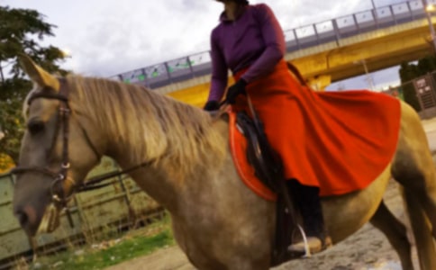 ���꼉�T�R��������