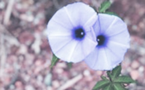 �Ґ۠�ţ�����ģ����x30ƪ��