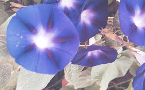 ���������ġ��᡿