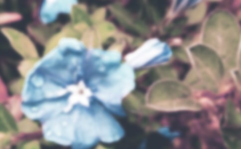 �������^����ӛ