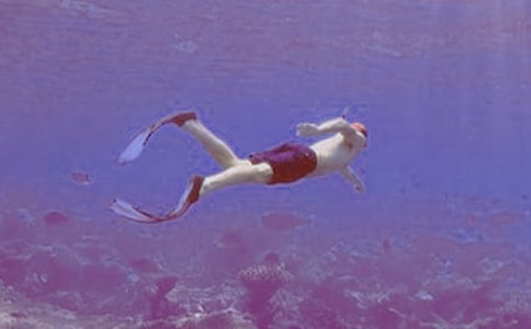 ��ˮ������15ƪ[��]