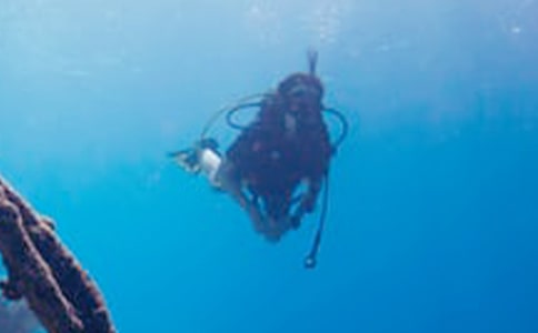 ��һ�Ν�ˮ����[�ϼ�6ƪ]