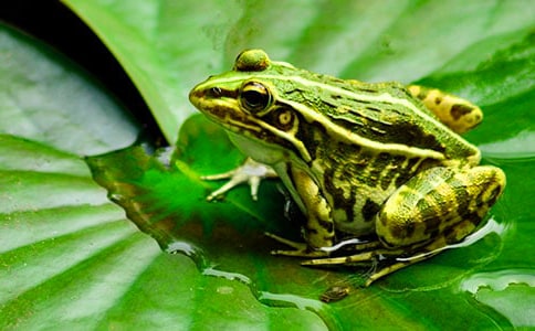 ����(y��u)�x���������ӵĹ���