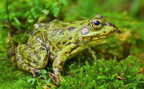 ���ܐ������t���Ĺ���