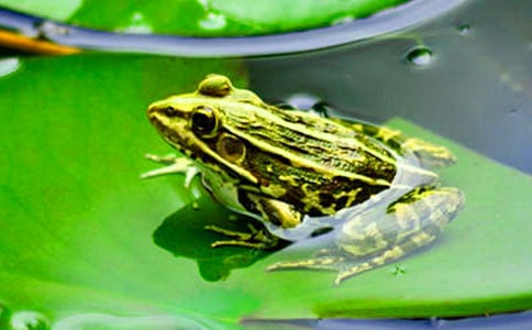 ����Ʒ�����o��������15ƪ