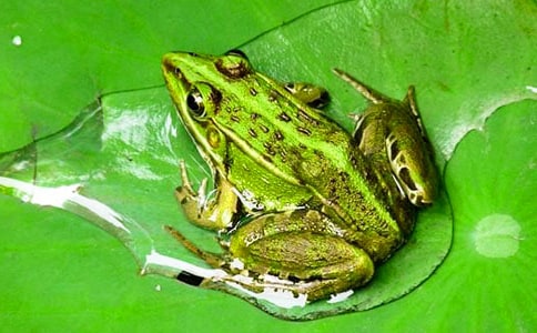 [�؂�]���o����