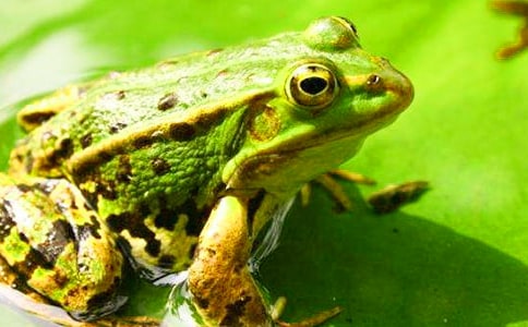 ���o��������ͨ�ã�15ƪ��