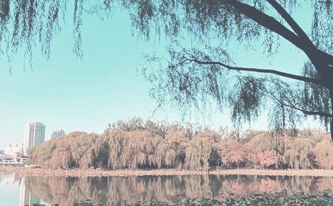 �Ґ��＾����15ƪ[ͨ��]