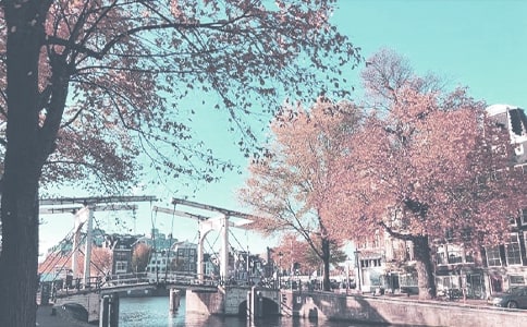 秋季飲食的原則有哪些