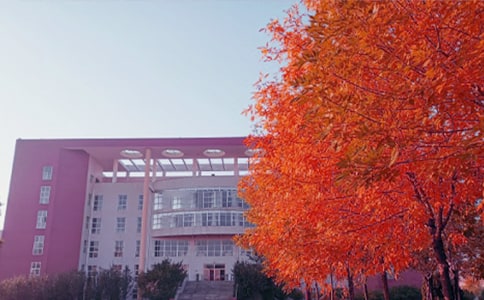 �����������ġ����䡿