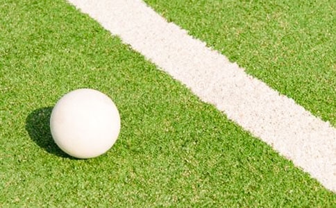 我和哥哥打曲棍球作文