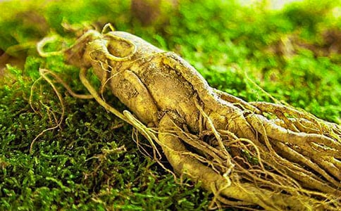 �˅��z�ҹ�Ч����Щ