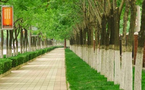 ���Эh�������е�̽��