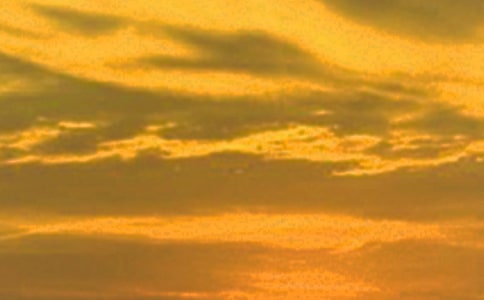 �ճ���������