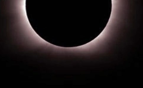 �����^��ʳȤ