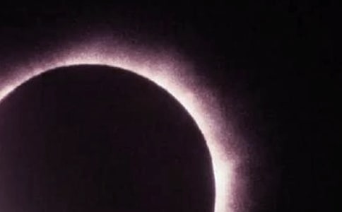 ���D��ʳ�zӰ