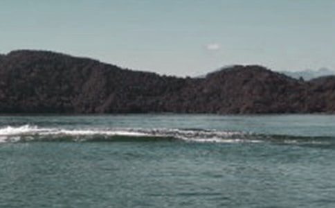 關于臺灣日月潭作文集錦5篇