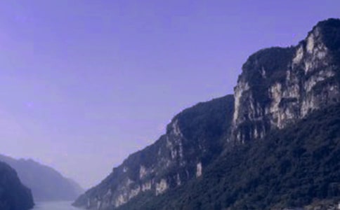 �����{�������