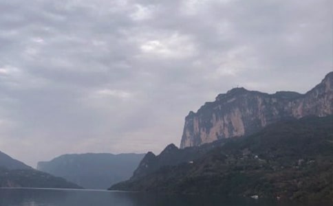 ���{����8ƪ