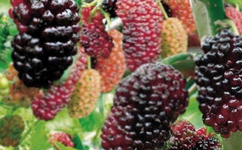 �Ґۼ��l��ɣ�����Ќ�������