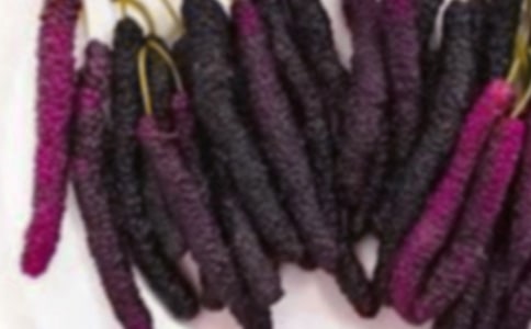 摘桑果作文(精華14篇)