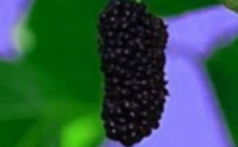 ժɣ������400�֣����x20ƪ��