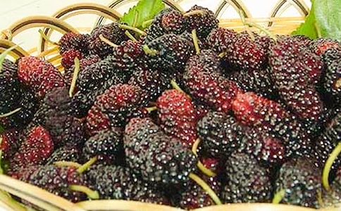 ժɣ������15ƪ����(y��u)�x��