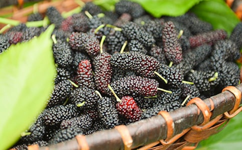 ��֪��ɣ�� ������֪��ɣ���ݾƵĺ�̎��