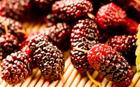 ժɣ�����ġ��R��15ƪ��