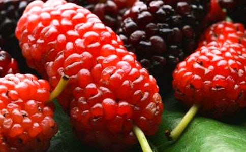 ժɣ������(��)