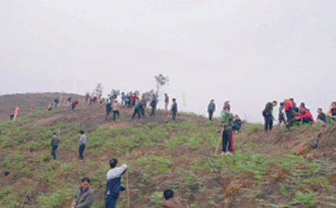 ��Ĺ����300�օR��(3ƪ)