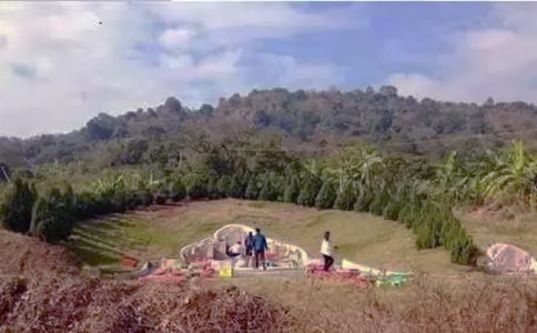 �P(gu��n)�ڒ�Ĺ����