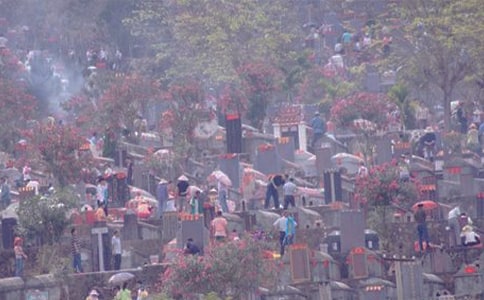 烈士陵園掃墓日記