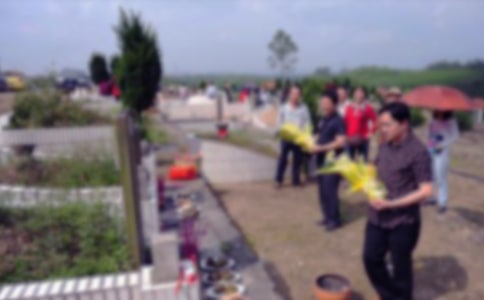 ��Ĺ�����ļ��\15ƪ