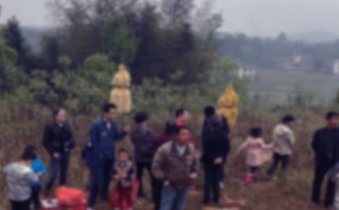 記一次掃墓活動作文